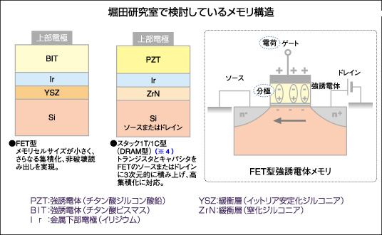 堀田研究室