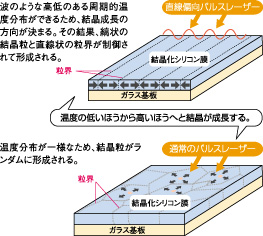 堀田研究室