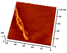 Single molecule imaging of polymer