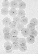 FePt@SiO2 core-shell nanoparticles