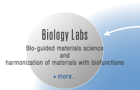 Biology Labs